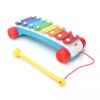 Fisher Price Classic Xylophone - Multicolor-14
