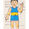 Little Genius Wooden Parts Of Body - Boy-6