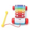Fisher Price Classic Xylophone - Multicolor-13