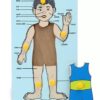 Little Genius Wooden Parts Of Body - Boy-4