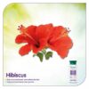 Himalaya Herbal Gentle Baby Shampoo - 400 ml-4