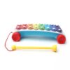 Fisher Price Classic Xylophone - Multicolor-11